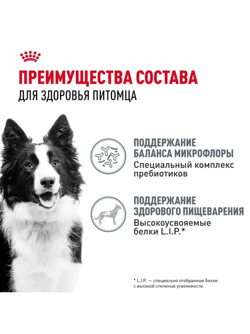 Сухой корм Royal canin Digestive Care для собак, средние, 12 кг, фото 3