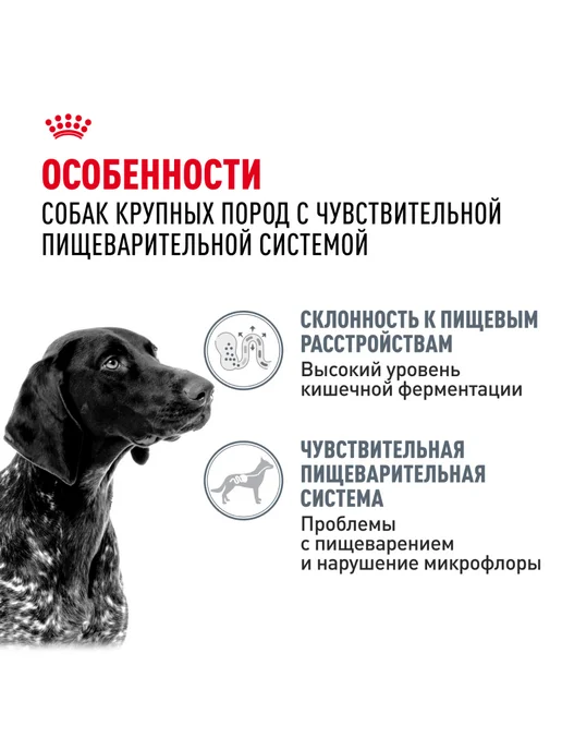 Сухой корм Royal canin Digestive Care для собак, крупные, 12 кг, фото 2
