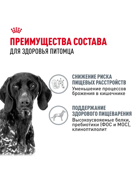 Сухой корм Royal canin Digestive Care для собак, крупные, 12 кг, фото 3