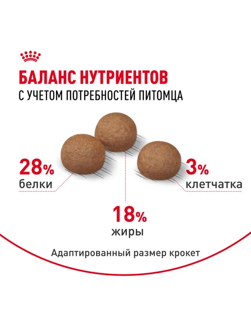 Сухой корм Royal canin Digestive Care для собак, крупные, 12 кг, фото 4