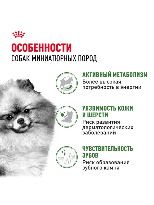 Сухой корм Royal canin Indoor для собак, мелкие, курица, 0,5 кг, фото 2