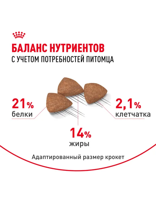 Сухой корм Royal canin Indoor для собак, мелкие, курица, 0,5 кг, фото 4
