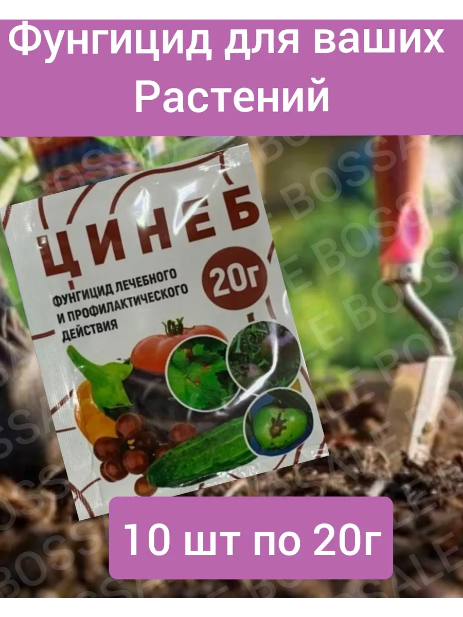 Цинеб фунгицид от болезней и профилактики Лечебный Цинеб фунгицид от болезней и профилактики Лечебный