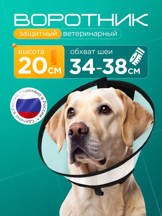 Медторг Защитный воротник ветеринарный для кошек и собак, высота 20, белый