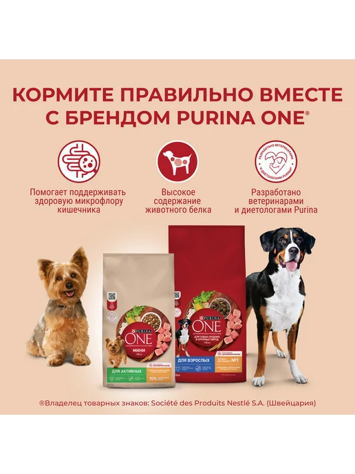Сухой корм PURINA ONE Активных для собак, мелкие, 3 кг, фото 5