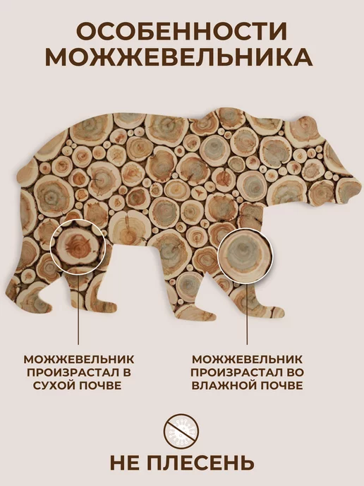 SPILCOMO Панно из можжевельника "Банный веник", вариант, фото 6