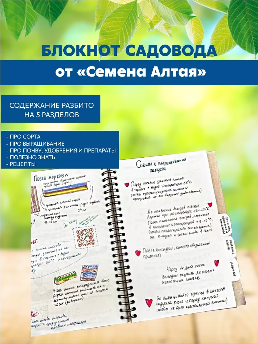 Блокнот Садовода от Семена Алтая Семена Алтая 190864872 купить за 1 160 ₽ в  интернет-магазине Wildberries