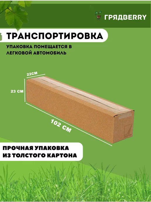 Грядberry Грядка из ДПК 0,8х2х0,2м, 0.8x2x0.2 м, фото 7