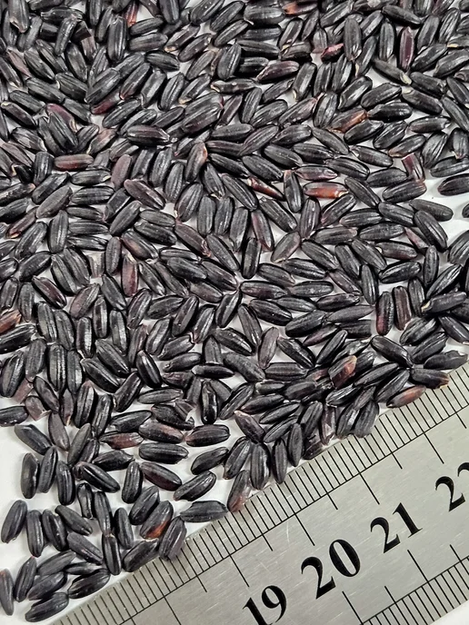 Asia Rice Рис чёрный нешлифованный, 800 г, 800 г, фото 3