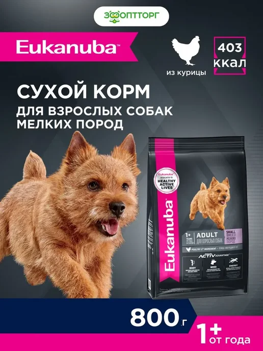 Сухой корм Eukanuba для собак, взрослые, мелкие, курица, 0,8 кг