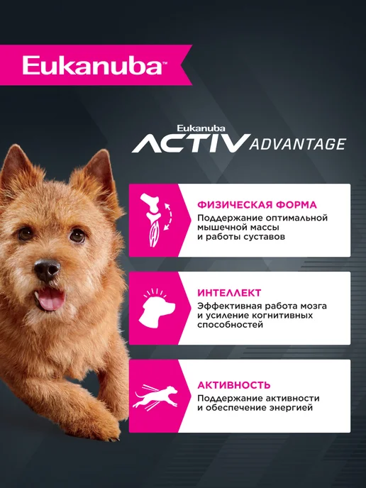 Сухой корм Eukanuba для собак, взрослые, мелкие, курица, 0,8 кг, фото 2
