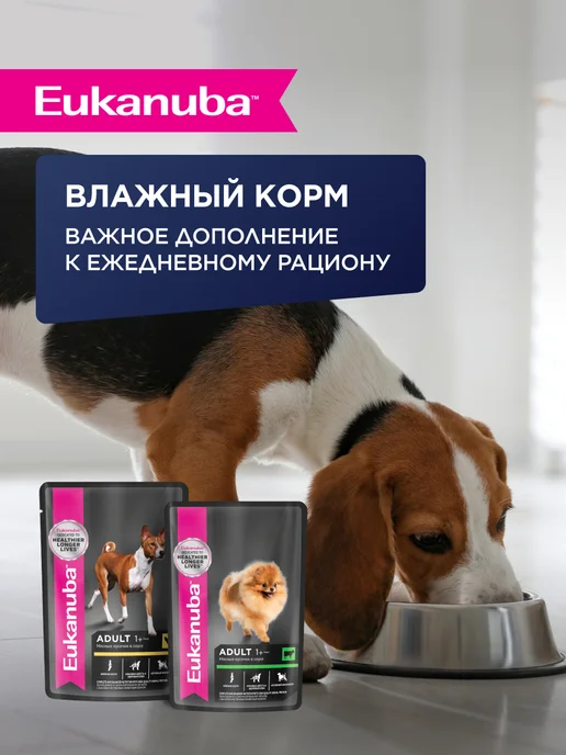 Сухой корм Eukanuba для собак, взрослые, мелкие, курица, 0,8 кг, фото 6