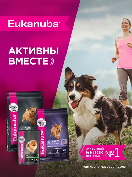 Сухой корм Eukanuba для собак, взрослые, мелкие, курица, 0,8 кг, фото 7