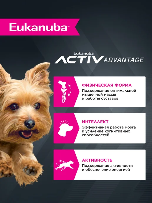 Сухой корм Eukanuba для собак, взрослые, мелкие, курица, 0,5 кг, фото 2