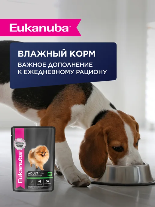 Сухой корм Eukanuba для собак, взрослые, мелкие, курица, 0,5 кг, фото 7