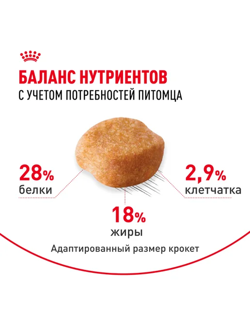 Сухой корм Royal canin Йоркширский Терьер для собак, 0,5 кг, фото 4
