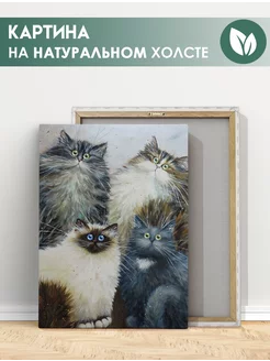 Картина Пушистые коты, художница Ким Хаскинс 40х60 см FIX CANVAS 190915966 купить за 1 181 ₽ в интернет-магазине Wildberries