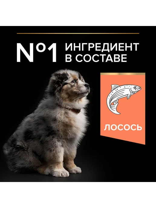 Сухой корм PRO PLAN Кожи Шерсти для собак, средние, щенки, лосось, 3 кг, фото 4