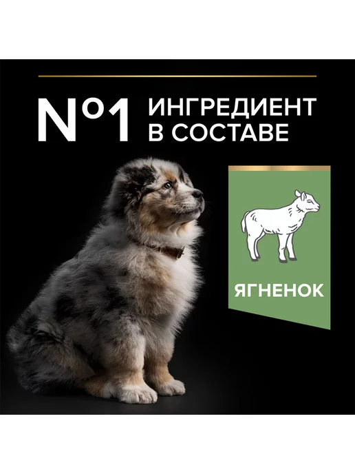 Сухой корм PRO PLAN для собак, средние, чувствительное пищеварение, щенки, 3 кг, фото 5