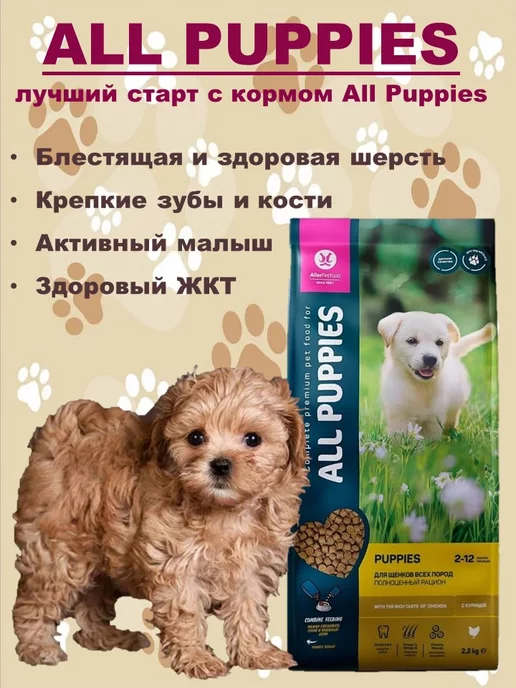 Сухой корм ALL PUPPIES Puppiеs для собак, курица, 2,2 кг, фото 4