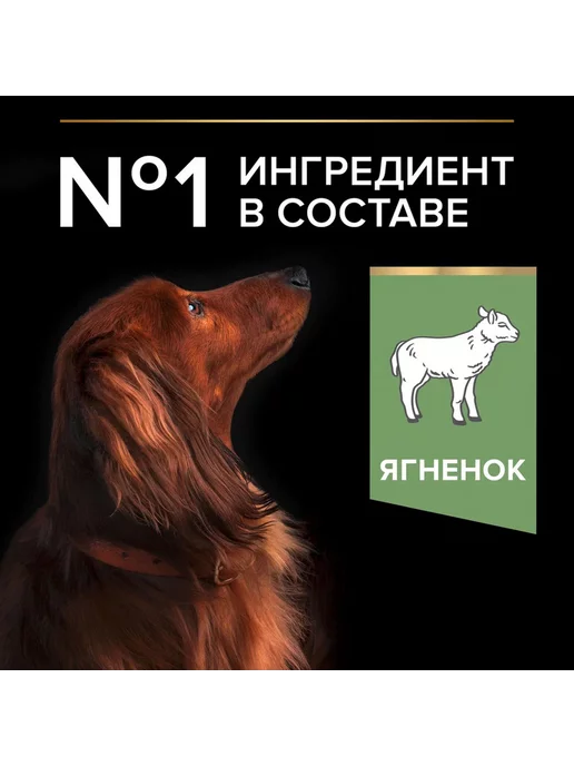 Сухой корм PRO PLAN Digestion для собак, мелкие, чувствительное пищеварение, ягненок, 3 кг, фото 4