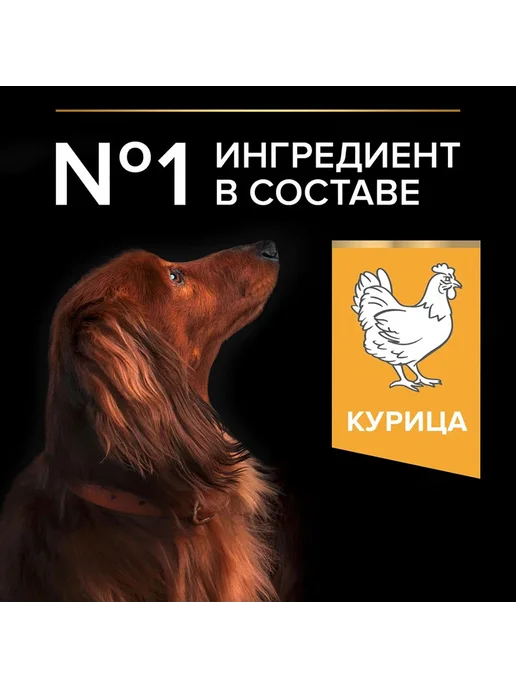 Сухой корм PRO PLAN Everyday Nutrition для собак, мелкие, курица, 3 кг, фото 4