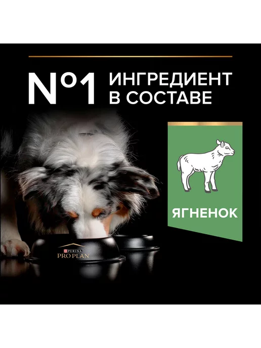Сухой корм PRO PLAN Digestion для собак, средние, чувствительное пищеварение, ягненок, 3 кг, фото 4