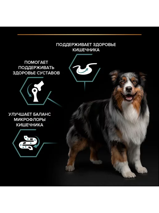 Сухой корм PRO PLAN Digestion для собак, средние, чувствительное пищеварение, ягненок, 3 кг, фото 5