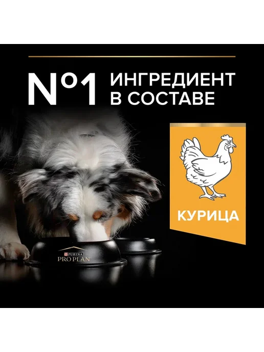 Сухой корм PRO PLAN Everyday Nutrition для собак, средние, курица, 3 кг, фото 4