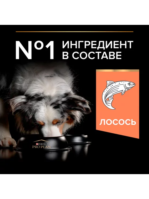 Сухой корм PRO PLAN Кожи Шерсти для собак, средние, лосось, 3 кг, фото 5