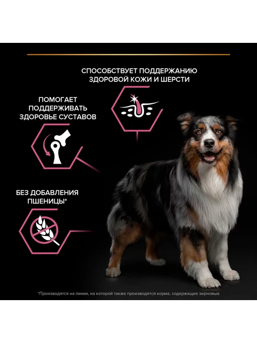 Сухой корм PRO PLAN Кожи Шерсти для собак, средние, лосось, 3 кг, фото 6
