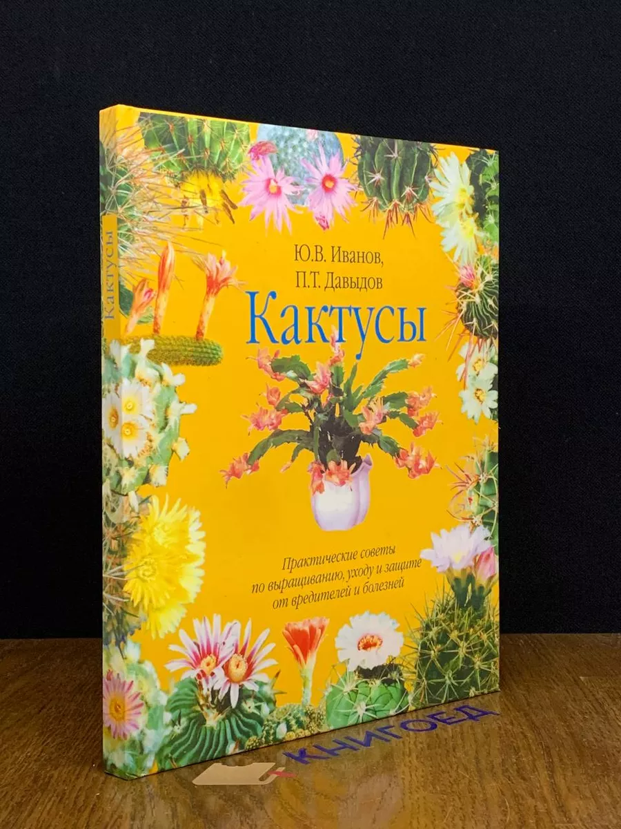 Кактусы