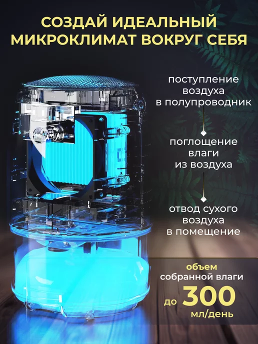 SunStorm Осушитель воздуха для дома, вариант, фото 3