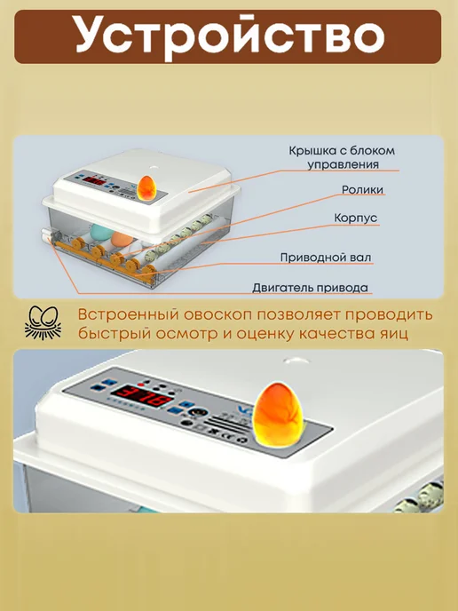 Инкубатор для яиц автоматический с терморегулятором,220V, белый, в упаковке 1,5 кг, фото 4