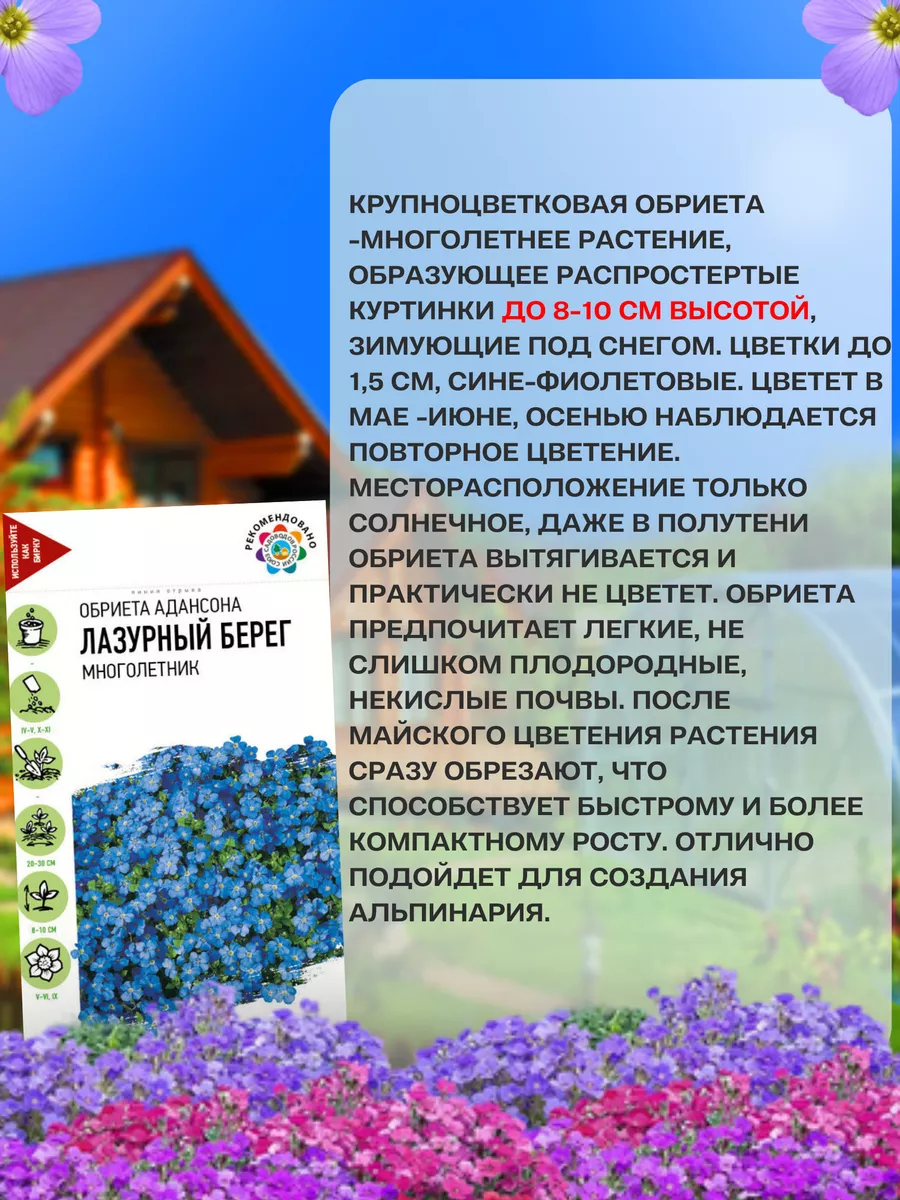 Семена цветов Обриета 2 Гавриш 191160070 купить за 99 ₽ в интернет-магазине  Wildberries