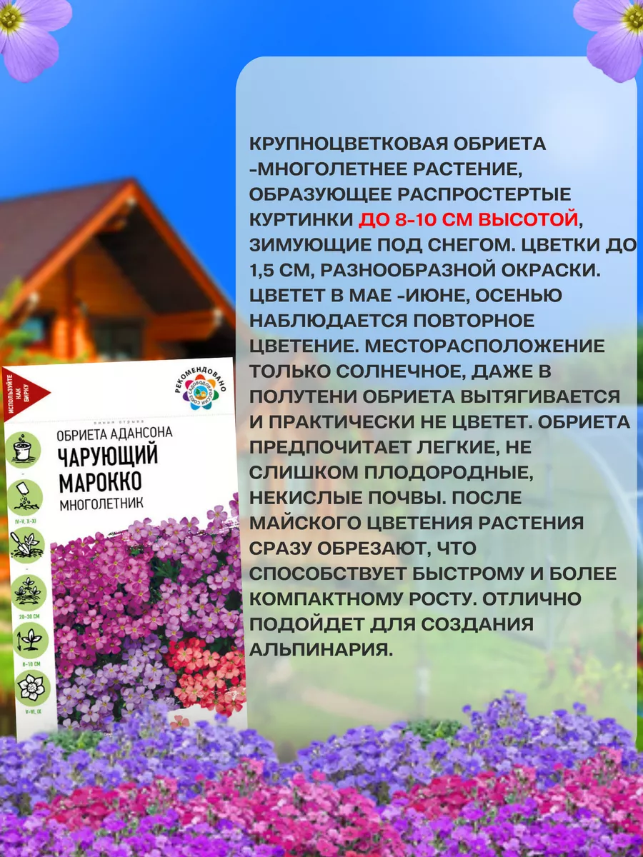 Семена цветов Обриета 2 Гавриш 191160070 купить за 99 ₽ в интернет-магазине  Wildberries