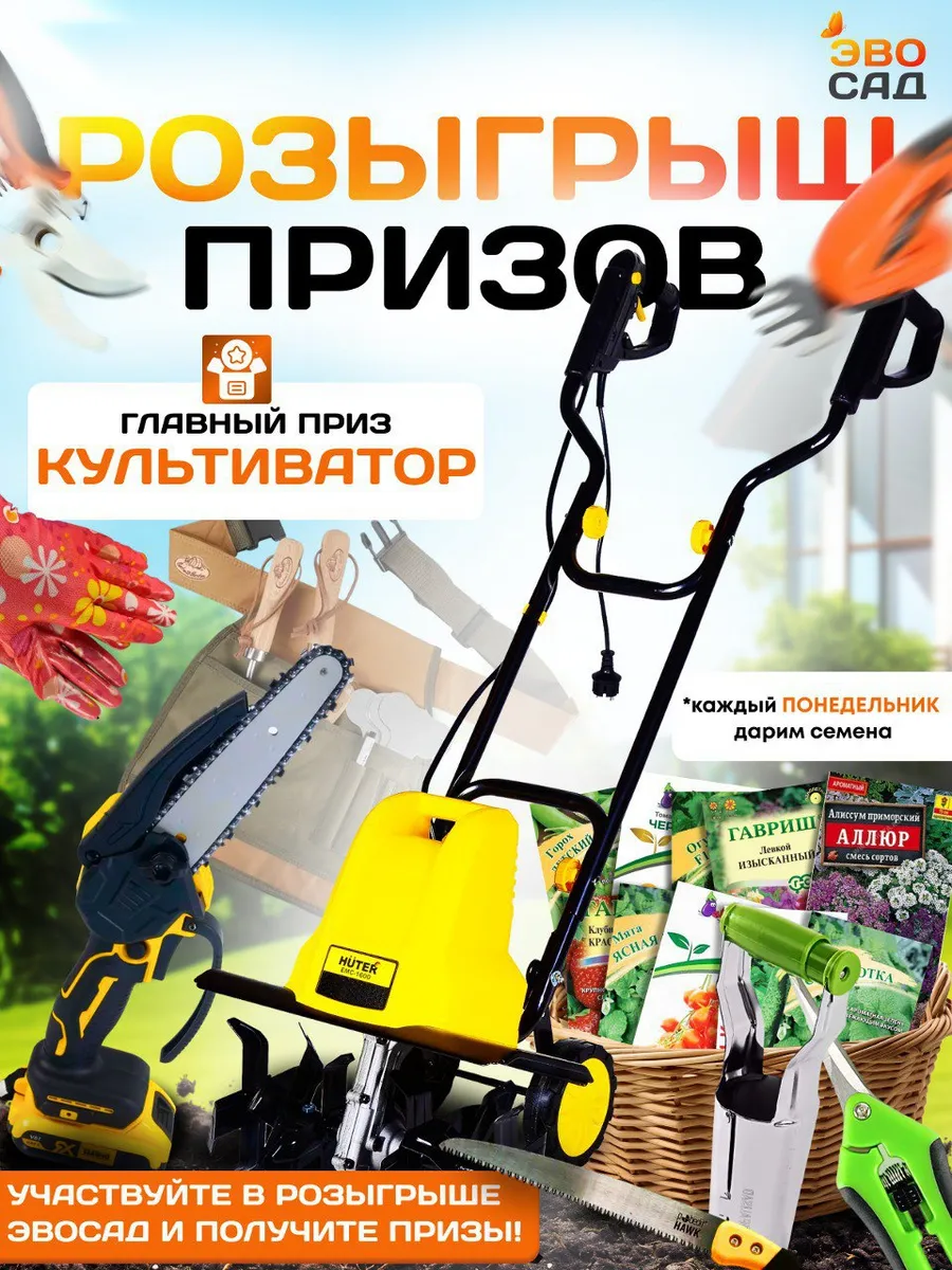 Горох семена набор 3 Гавриш 191173209 купить за 181 ₽ в интернет-магазине  Wildberries