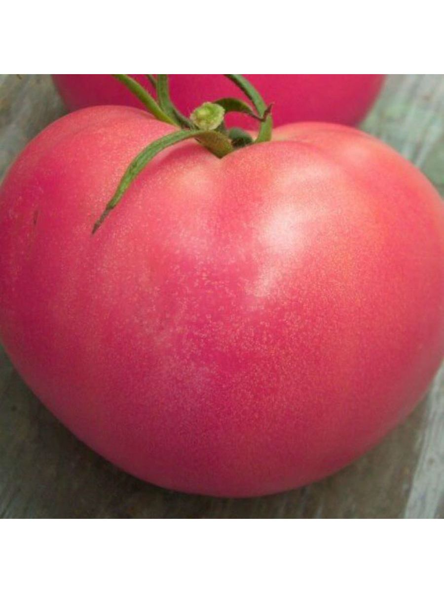 Хорошие розовые помидоры. Томат f1 розовый гигант. Розовый помидор Тарпан. Томат Розализа f1. Сорт томатов слон.