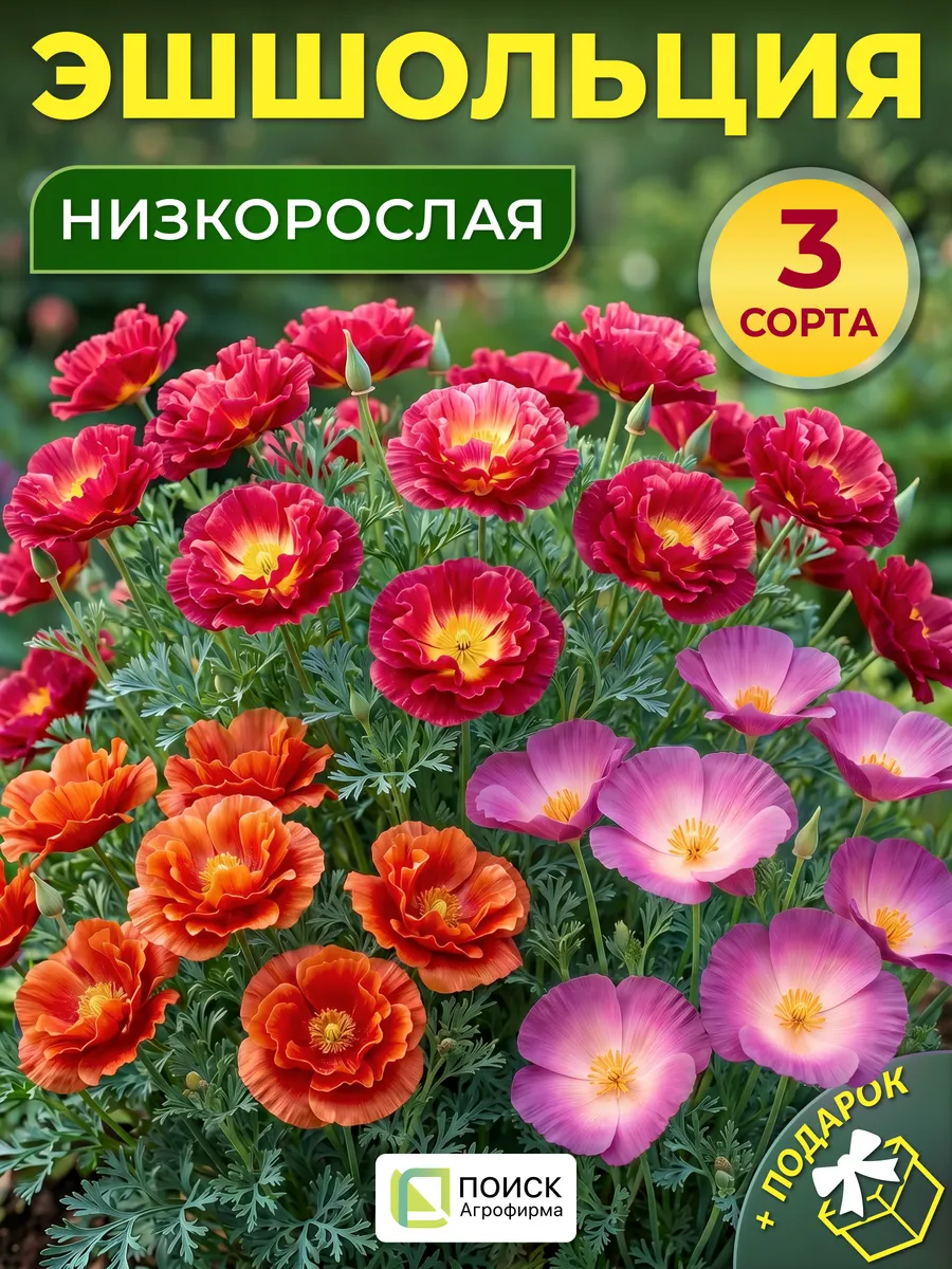 Семена эшшольция низкорослая