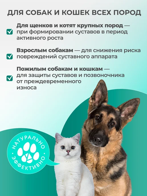 veda Комплекс для суставов собак и кошек 200 шт, 200 шт, фото 2