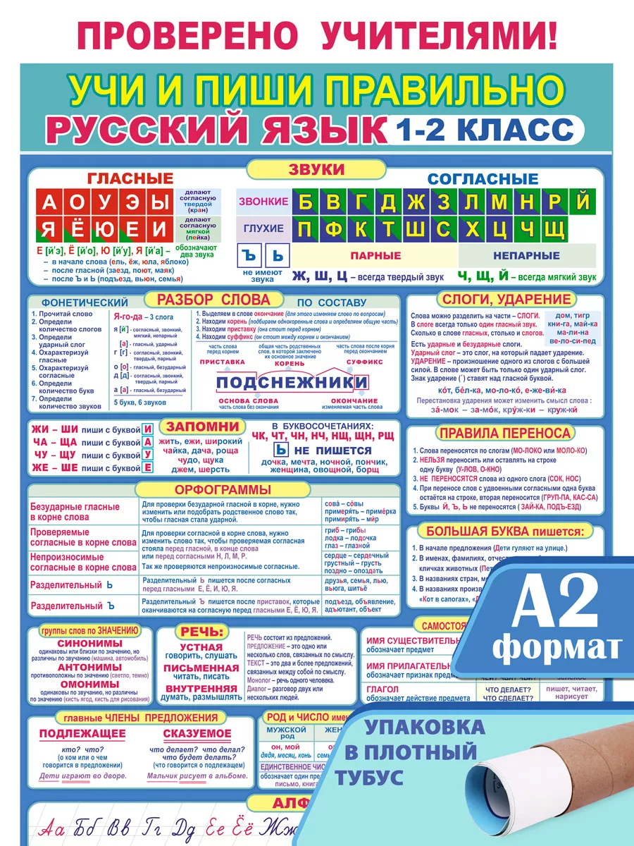 Галерея дизайна Плакат на стену для школы и комнаты большой обучающий