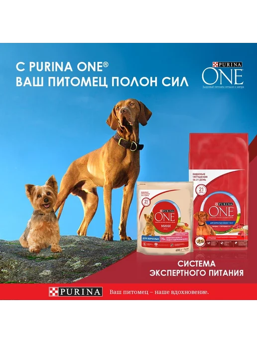 Сухой корм PURINA ONE для собак, курица, 10 кг, фото 2