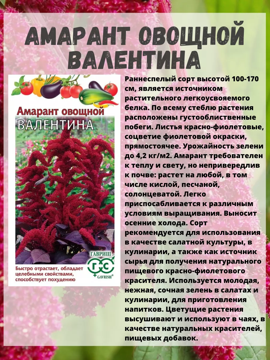 Амарант семена Амаранта набор 3 шт Агрофирма Аэлита 191451099 купить за 209  ₽ в интернет-магазине Wildberries