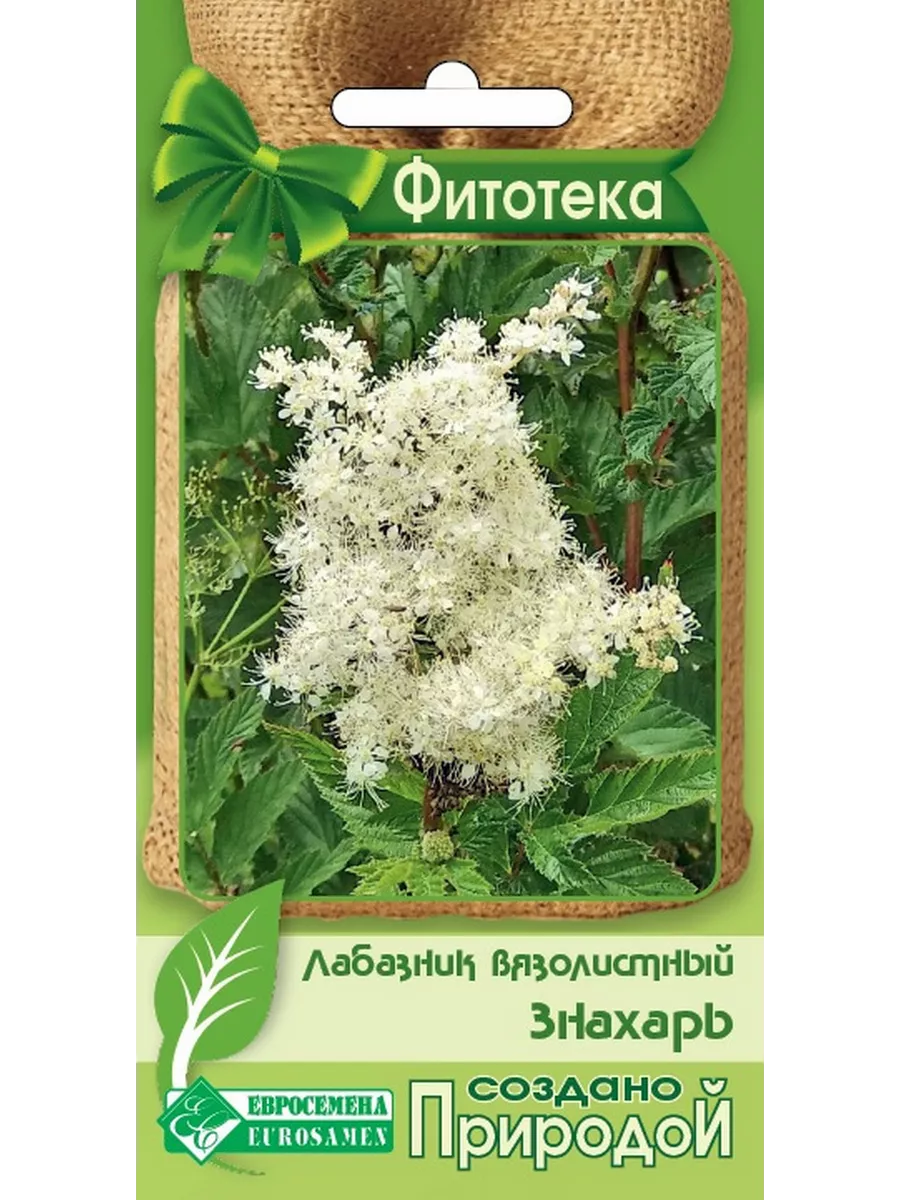 Орыс қыздарын порно іздеу