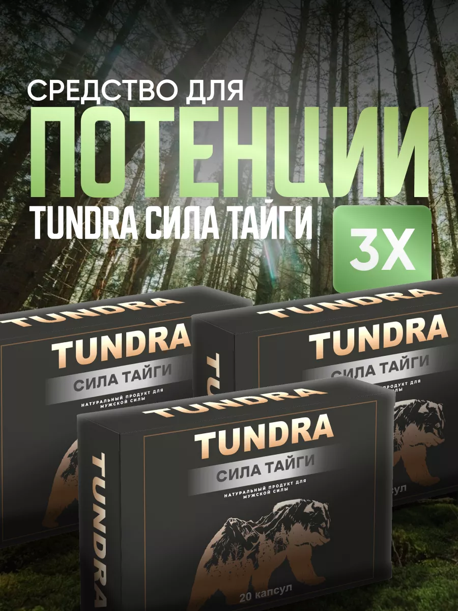 Таблетки для улучшения потенции и продления эрекции Тундра Тундра / Tundra  191524735 купить за 846 ₽ в интернет-магазине Wildberries