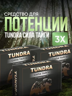 Таблетки для улучшения потенции и продления эрекции Тундра Тундра / Tundra 191524735 купить за 828 ₽ в интернет-магазине Wildberries