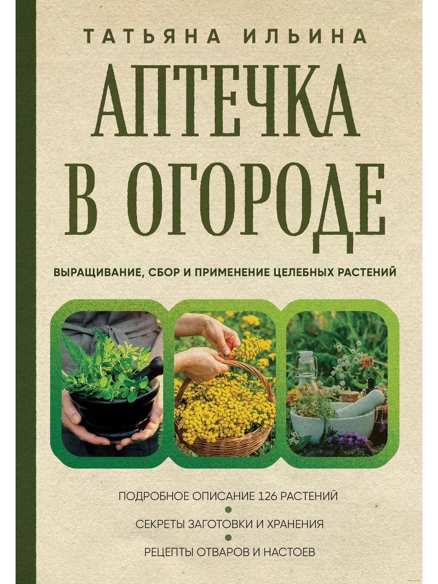 Аптечка в огороде: Выращивание, сбор Эксмо 191526249 купить за 701 ₽ в  интернет-магазине Wildberries