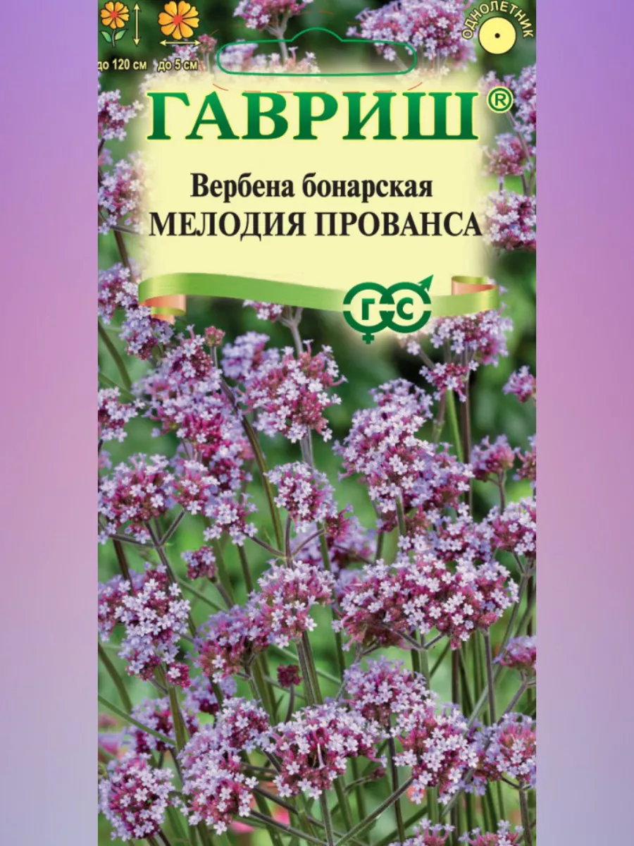 Набор семян Вербена Бонарская и Диасция розовая Гавриш 191526446 купить за  147 ₽ в интернет-магазине Wildberries