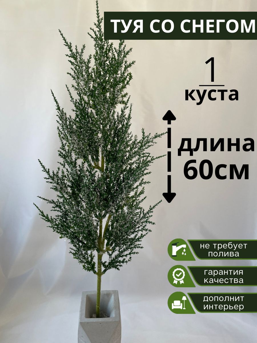 туя со снегом Искусственные цветы Ali 191550920 купить в интернет-магазине  Wildberries