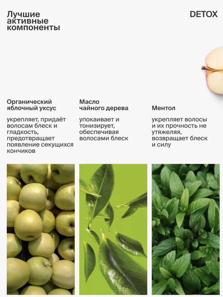 Набор шампунь и кондиционер с яблочным уксусом 250мл*2 Organic Shop  191696436 купить в интернет-магазине Wildberries